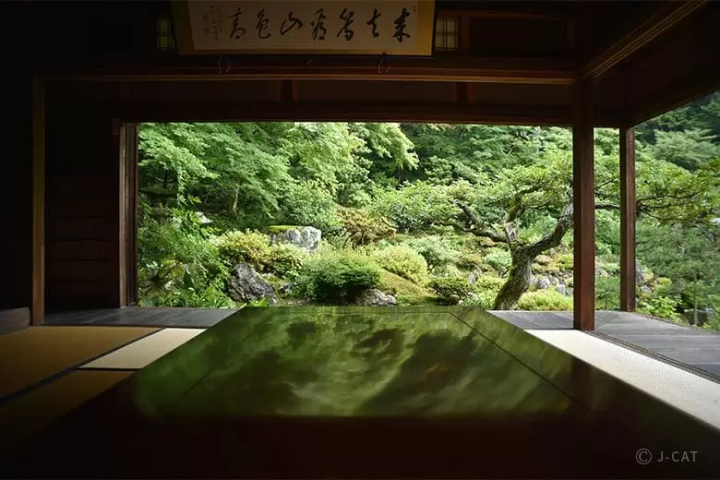 Experience Authentic Japanese Traditions! 10 Cultural Experiences in Western Japan