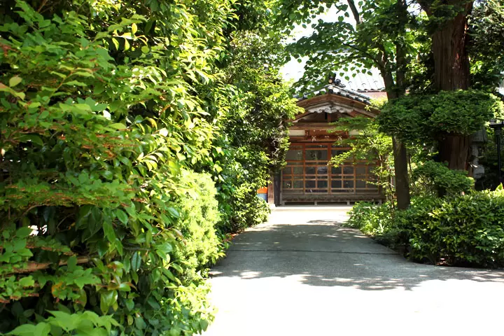 [ประมาณ 3 ชั่วโมงจากโตเกียวโดยชินคันเซ็น + รถด่วนพิเศษ] ทริปไปเมืองมูราคามิ จังหวัดนีงาตะ เพื่อพบกับสวนที่เต็มไปด้วยความสุขของฤดูใบไม้ผลิและต้นไม้เขียวขจีสดชื่น