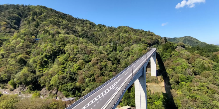 Feel the power of fresh greenery with your whole body