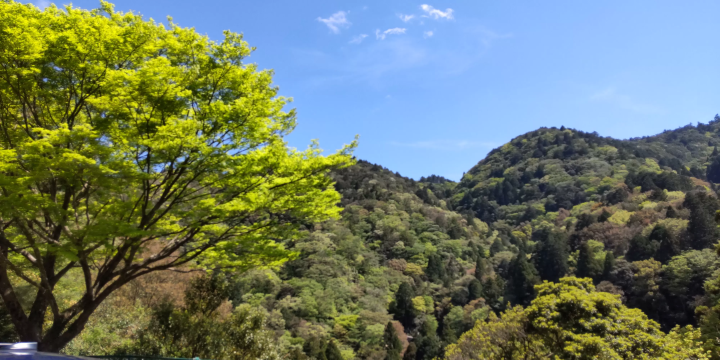 Feel the power of fresh greenery with your whole body
