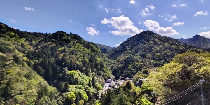 Feel the power of fresh greenery with your whole body