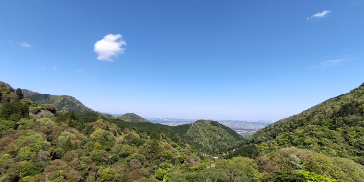 Feel the power of fresh greenery with your whole body
