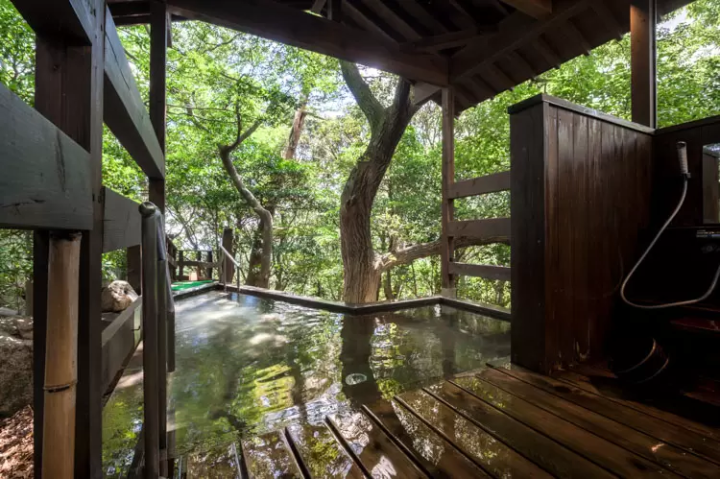 Feel the power of fresh greenery with your whole body