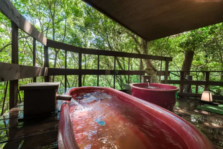 Feel the power of fresh greenery with your whole body