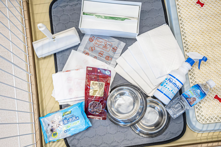 ワンちゃんと楽しむプライベートグランピング