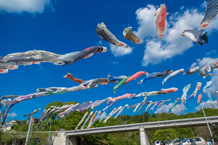 ©Mochida Photography Office 