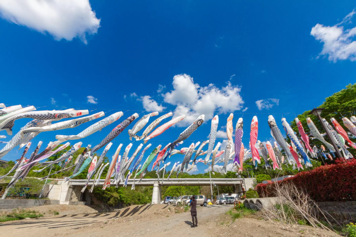 ©Mochida Photography Office 