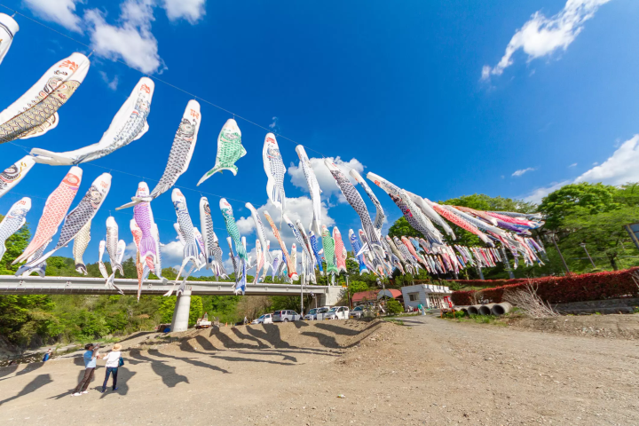 ©Mochida Photography Office 