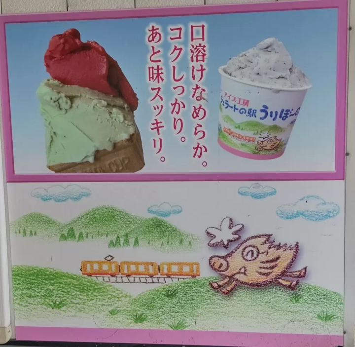 Nemophila field and yellow train