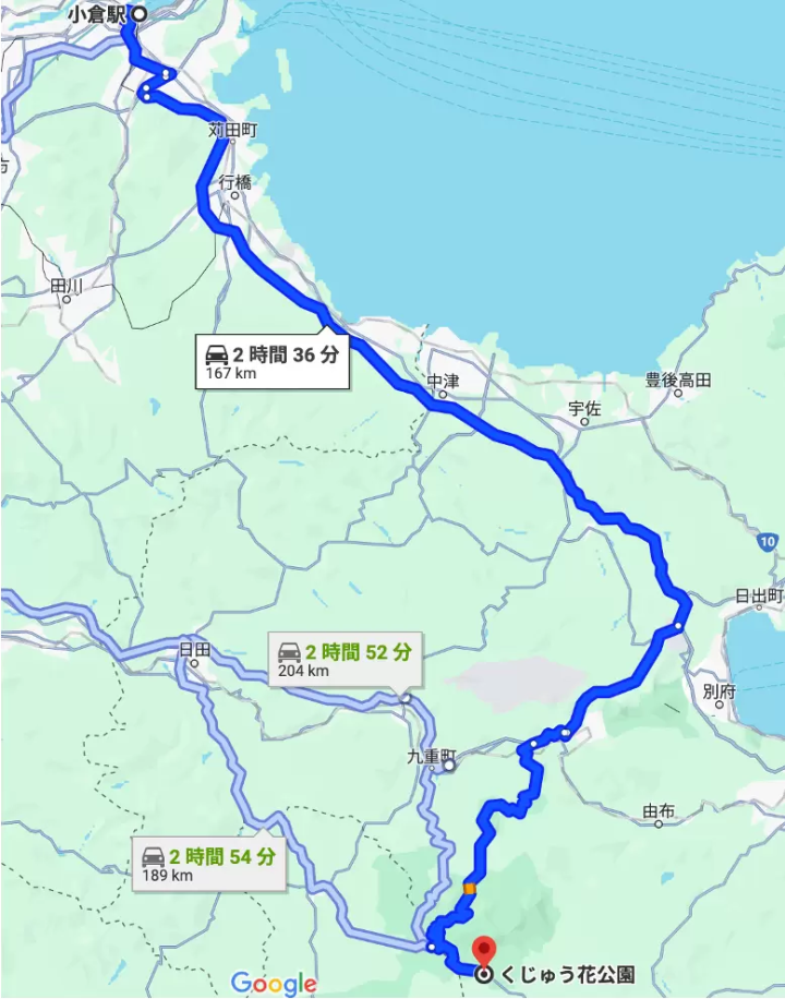 จุดชมวิวอันตระการตาในอะโสะ! สรุปวิธีการเข้าถึงสวนดอกไม้คูจูจากพื้นที่ฟุกุโอกะ คุมาโมโตะ และโออิตะ