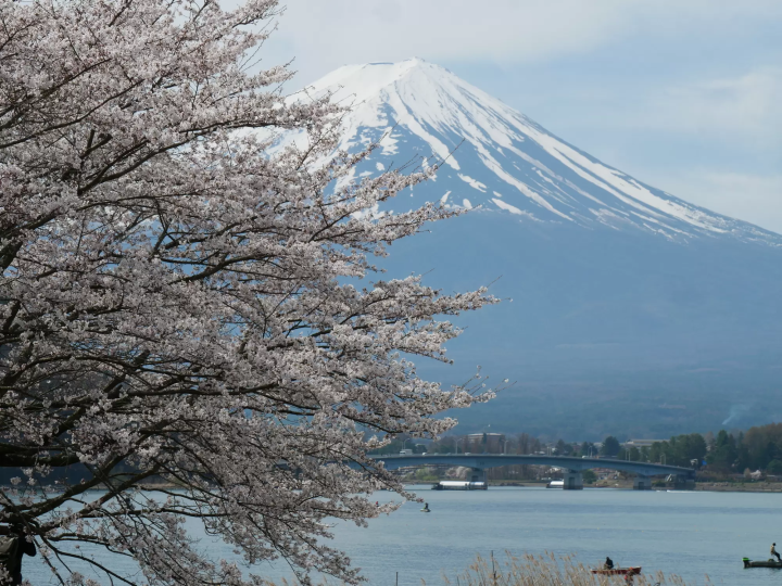 日本國內旅行好夥伴！在日外國人可使用的JR PASS彙整和推薦景點