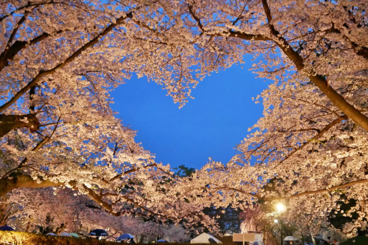 日本國內旅行好夥伴！在日外國人可使用的JR PASS彙整和推薦景點