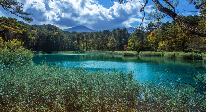 [ครบรอบ 5 ปี] 2024 ANNIVERSARY REIWA Advance Exhibition & General Sales