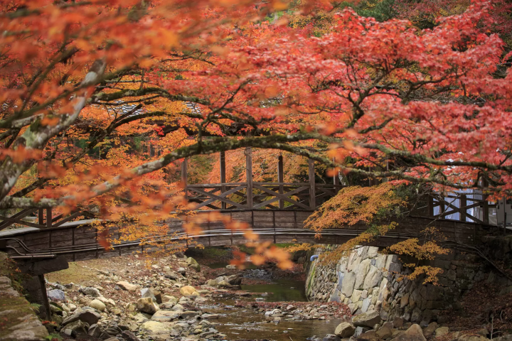 【広島】旅行の前にチェック！観光に適した服装と広島の気温とは？