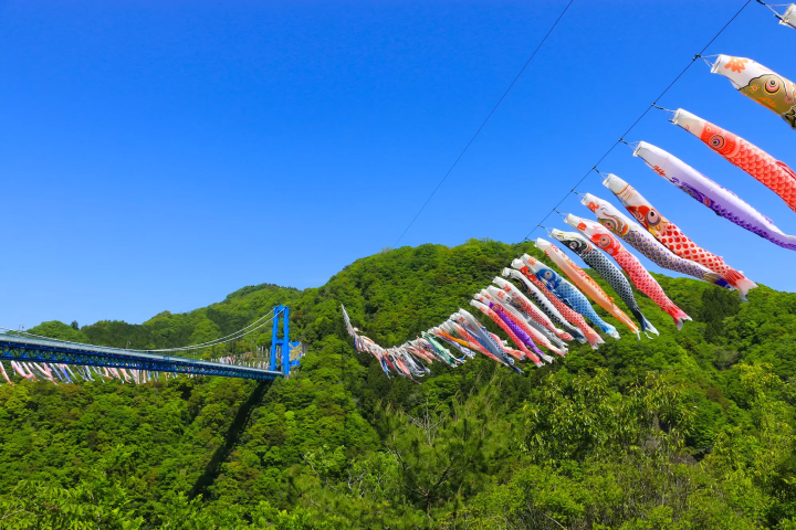 Koinobori Carp Streamers: Celebrating Children's Day in Japan