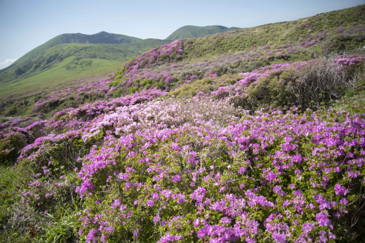 〜享受阿苏山观光！ ！ ～体验平时不能参观的夜间博物馆，发布阿苏徒步信息！