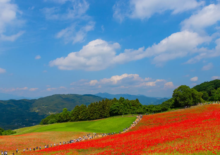 ©Mochida Photography Office 