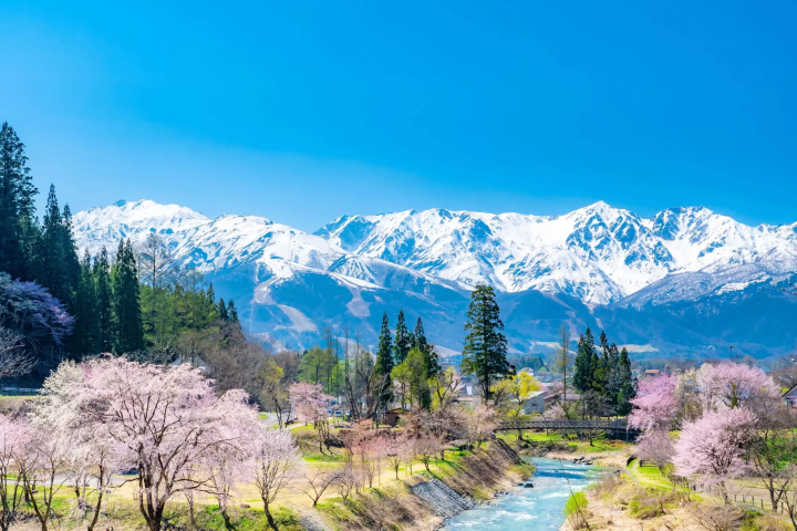 白馬攻略保存版：滑雪場 &推薦景點【2022～2023年度版】