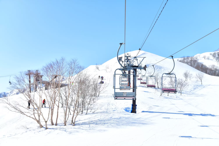 白馬攻略保存版：滑雪場 &推薦景點【2022～2023年度版】