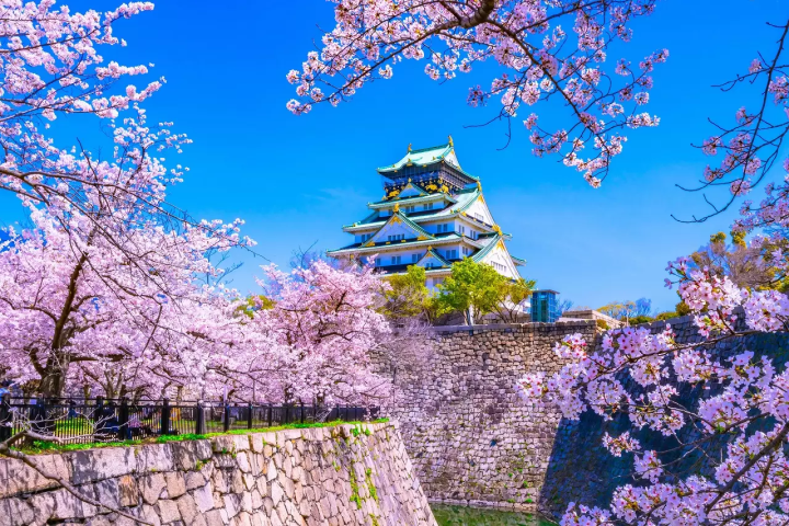 Shogun: The History of The Blue Eyed Samurai, William Adams