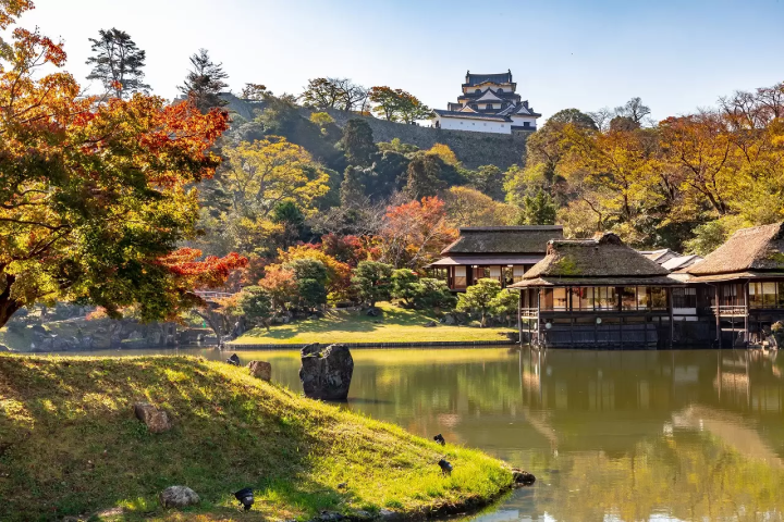 Shogun: The History of The Blue Eyed Samurai, William Adams