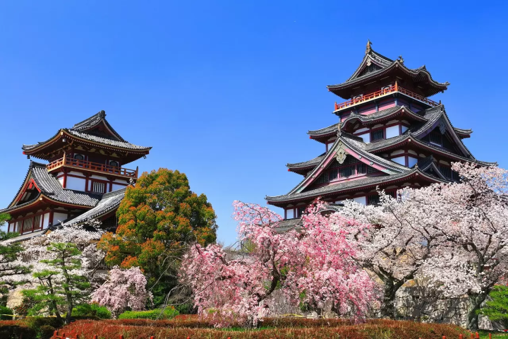 Shogun: The History of The Blue Eyed Samurai, William Adams