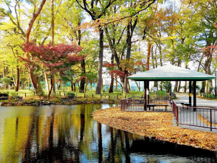 Shogun: The History of The Blue Eyed Samurai, William Adams