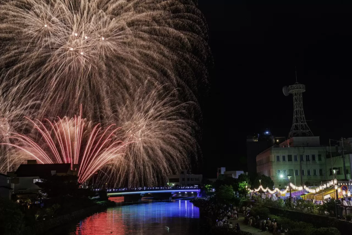 Shogun: The History of The Blue Eyed Samurai, William Adams