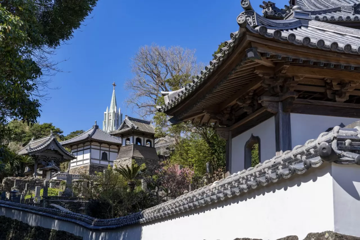 Shogun: The History of The Blue Eyed Samurai, William Adams