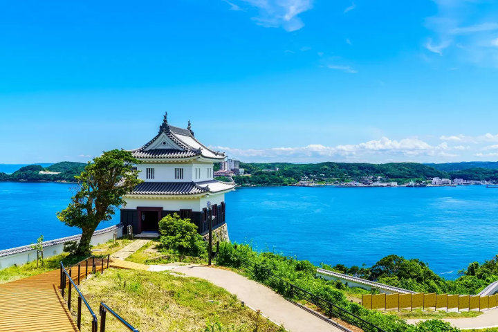 Shogun: The History of The Blue Eyed Samurai, William Adams