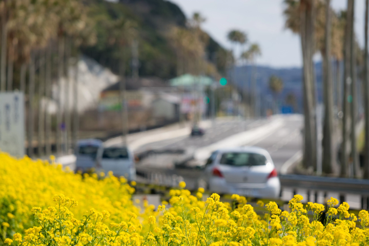 Just a short distance from Tokyo! Access to the resort, Tateyama
