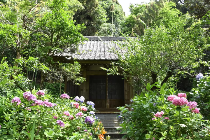 妙法寺