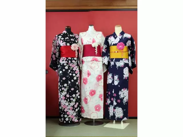 【2024年春夏/ふくのね】福井県内で体験できる観光プログラム ~JR芦原温泉駅周辺エリア①~