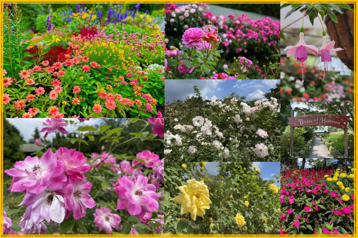 如何在九重花卉公園享受四季
