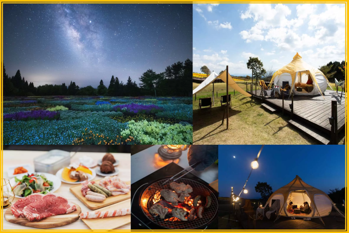 如何在九重花卉公園享受四季