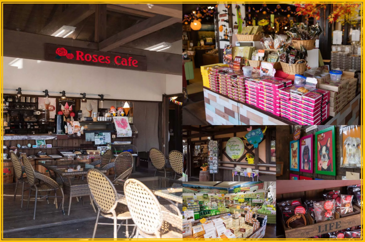 如何在九重花卉公園享受四季