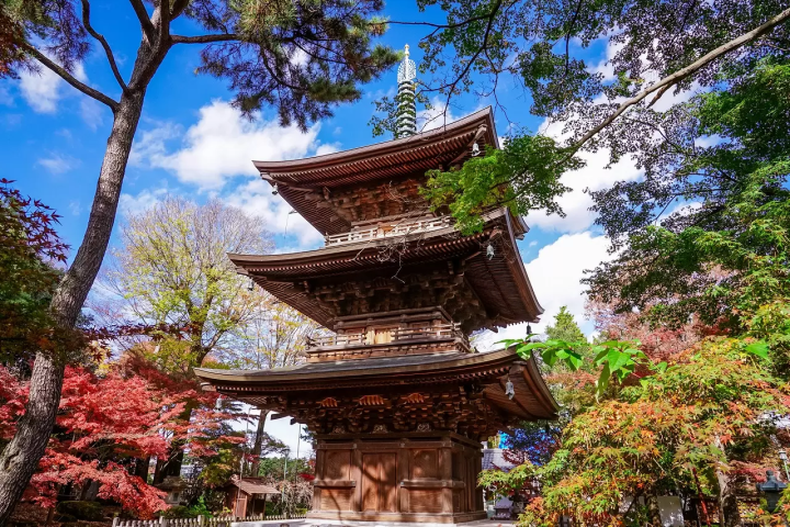 Gotokuji Temple: Tokyo's Temple of Beckoning Cats