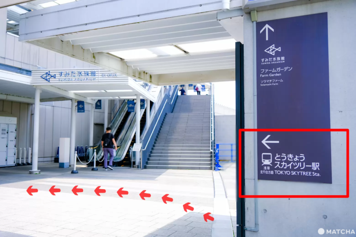 Four Routes to Access Asakusa from Tokyo Skytree