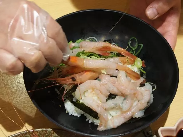 [Spring/Summer 2024/Fukunone] Sightseeing programs you can experience in Fukui Prefecture ~ Area around JR Fukui Station ① ~