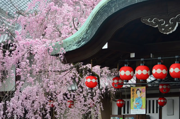 Discover Kyoto's Elegant Geisha Culture at the Gion Kagai Art Museum