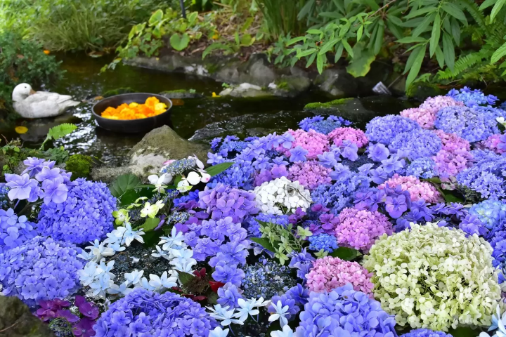 Umbrella Sky Events Near Tokyo