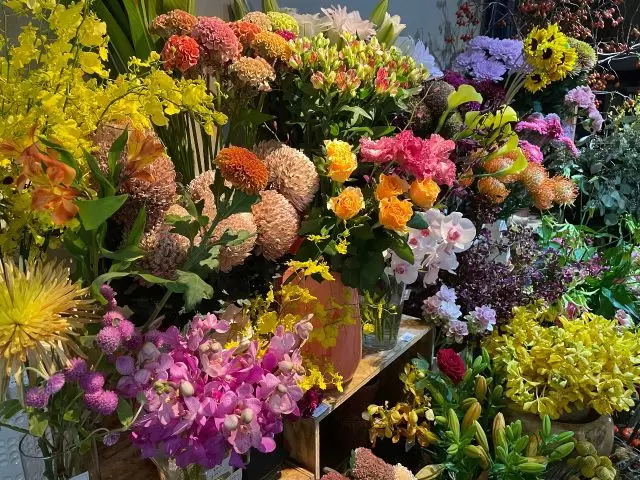 【2024年春夏／ふくのね】福井県内で体験できる観光プログラム　～JR福井駅周辺エリア②～