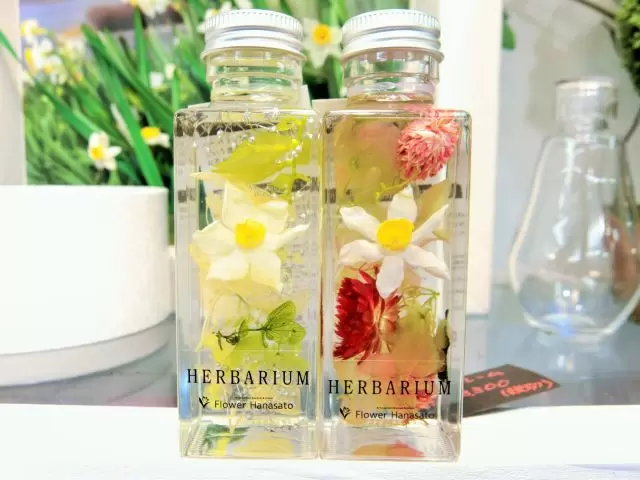 【2024年春夏/ふくのね】福井県内で体験できる観光プログラム ~JR福井駅周辺エリア③~