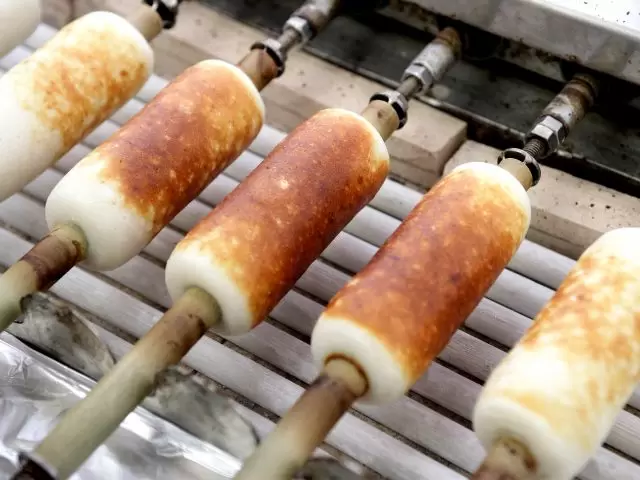 【2024年春夏/ふくのね】福井県内で体験できる観光プログラム ~JR福井駅周辺エリア③~