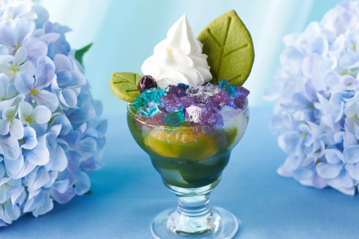 Itoh Kyuemon hydrangea