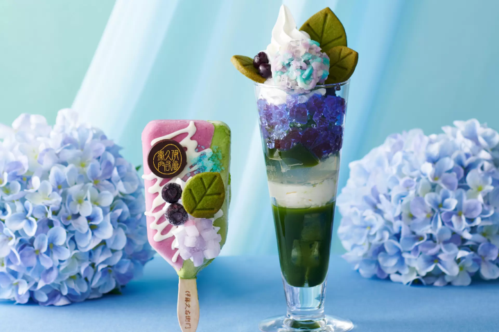 Itoh Kyuemon hydrangea