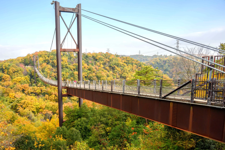 【ええやん!大阪商店街発】降星伝説の里で空を渡る星のブランコ
