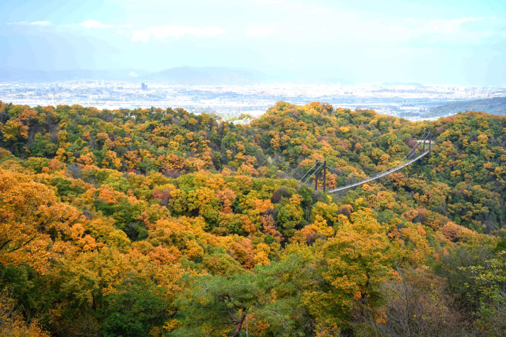 【ええやん!大阪商店街発】降星伝説の里で空を渡る星のブランコ
