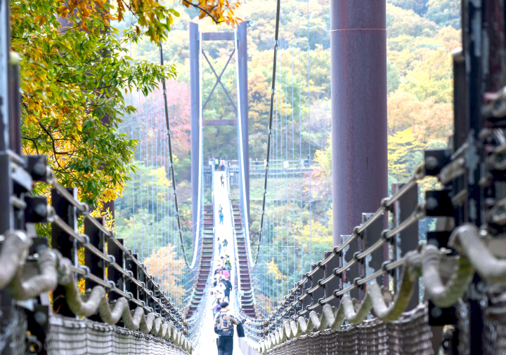 【ええやん!大阪商店街発】降星伝説の里で空を渡る星のブランコ