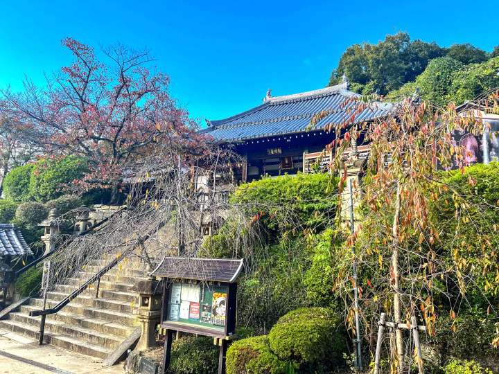 [From Eeyan ! Osaka Shopping Street]"Nozaki Mairi" - Offering prayers of gratitude to all living things